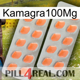 Kamagra100Mg 27